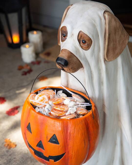(🎃Halloween Hot Sale 50% OFF🎃) OUTDOOR LIFE-SIZE GHOST DOG CANDY BOWL