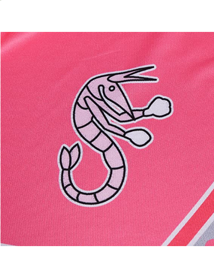 Zombies Costume Cheerleader Toddler Long Sleeve Rose Dress
